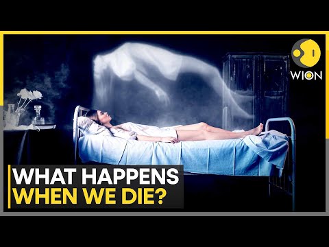 Study: We Emit Visible Light That Vanishes When We Die | World News | WION
