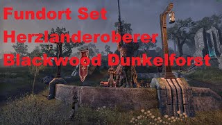 Teso Set Herzlanderoberer Fundort Blackwood Dunkelforst
