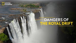 Dangers of the Royal Drift | Something Bit Me | Full Episode | S1E5 | National Geographic