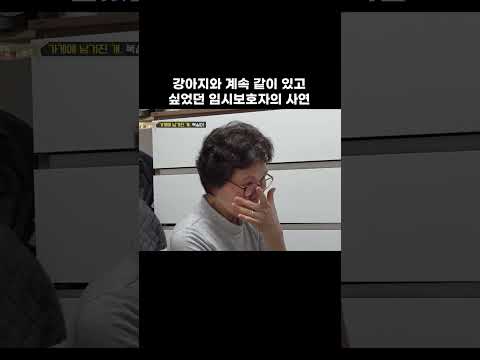 사랑은 넘치지만 각박했던 현실 #shorts