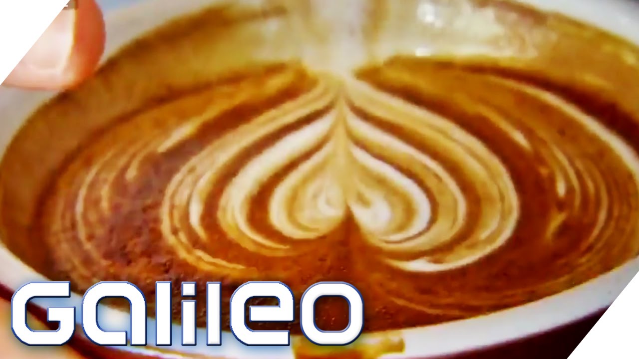 El mejor espresso del mundo |  Pausa para el almuerzo de Galileo