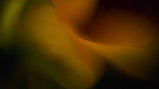 Dj Krush & Toshinori Kondo-Shοh-Ka Hq