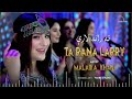 Malaika Khan New Pashto Song 2026 Ta Rana ته رانه لاړې Eid Gift Official Music Video Yamee Studio