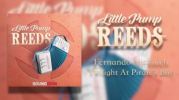Little Pump Reeds | Fernando Nicknich - Twilight At Pirate