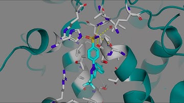 Celecoxib (Celebrex) and other COX-2 Selective Inhibitors