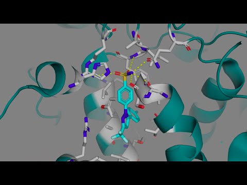 Celecoxib (Celebrex) and other COX-2 Selective Inhibitors