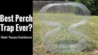 Perch Trap - Figure 8 Bait Fish Trap - Used for Bream, Sunfish, Perch, and Pinfish
