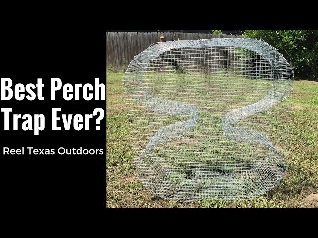 Perch Trap - Figure 8 Bait Fish Trap - Used for Bream, Sunfish