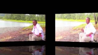 BUKIT BERBUNGA (OFFICIAL MUSIC VIDEO)