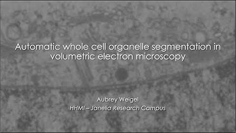 Aubrey Weigel - Automatic whole cell organelle segmentation in volumetric EM