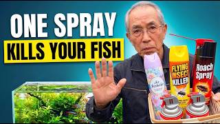 7 Things in Your Home That Can Kill Your Fish (Japanese Way)