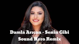 Damla Arıcan - Senin Gibi (Sound Hero Remix)
