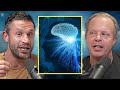 Joe Dispenza: The Most Powerful Way To Reprogram Your Mind &amp; Heal