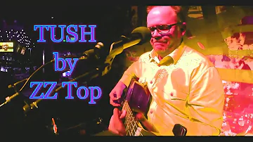 Tush - ZZ Top (davidkbutler ACOUSTIC COVER)