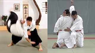 This devastating Aikido throw is found in judo's self defence system
