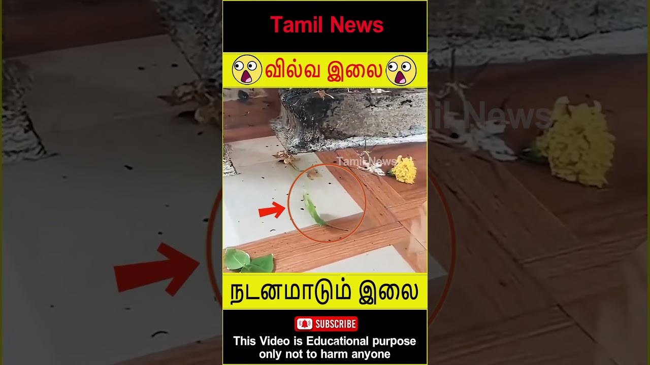 Miracle happened in lord Shiva temple 