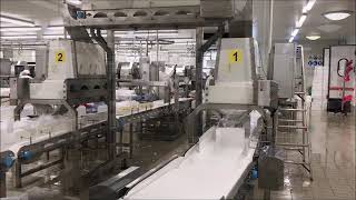 Automatic Ice Dozing System Thema-Automation