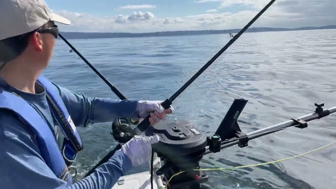 Shaker fish on a downrigger YouTube