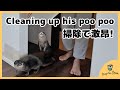 Otter Bingo doesn&#39;t like cleaning his poo poo !!