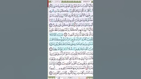 #سورة التحريم #تلاوة الآنسة سمية #الآية 10#قليل دائم خير