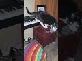 Hilarious Black Cat Creates Horror Movie Music #cat #halloween #music
