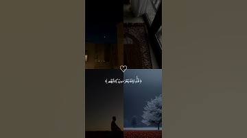 اكتب شئ تؤجر عليه 🤍 #قرآن_كريم #أرح_سمعك_وقلبك #تلاوات_خاشعة #المنشاوي #راحه_نفسيه #اكسبلور