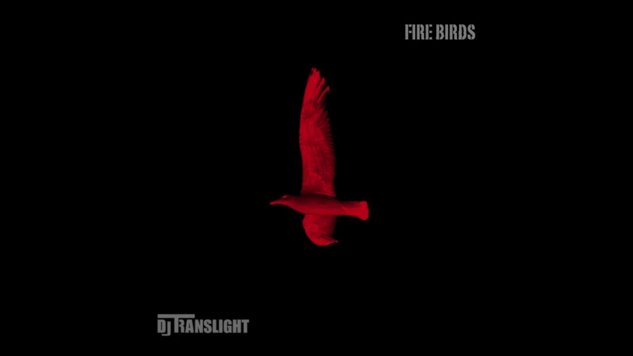 Fire Birds