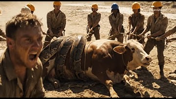 Brave Heroes Rescue Mother Cow and Calf from Giant Python Attack | Emotional Animal Rescue