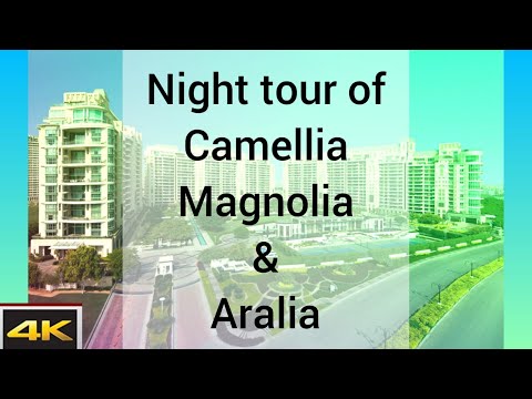DLF The Aralias Sector 42 Golf Course Road, Gurgaon