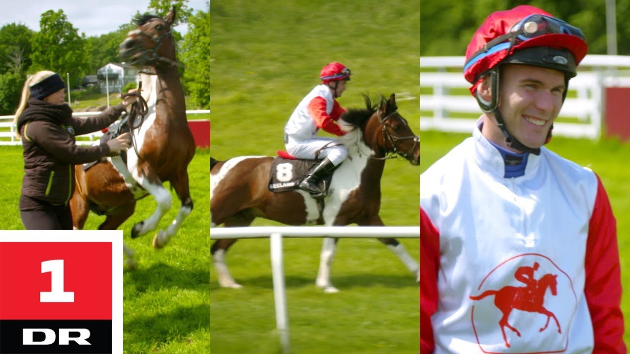 Galop med dressur pony | Alle mod 1 | DR1
