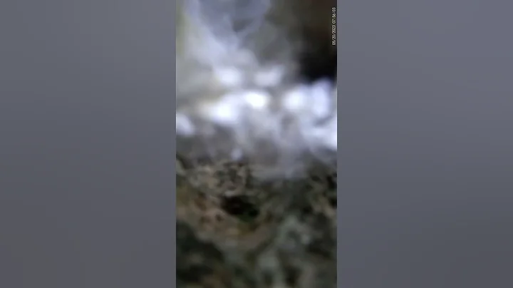 Margalla Hills Islamabad: The Serene Water Point on Trail 5