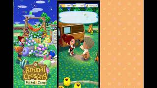 AC Pocket Camp Tour - Sar