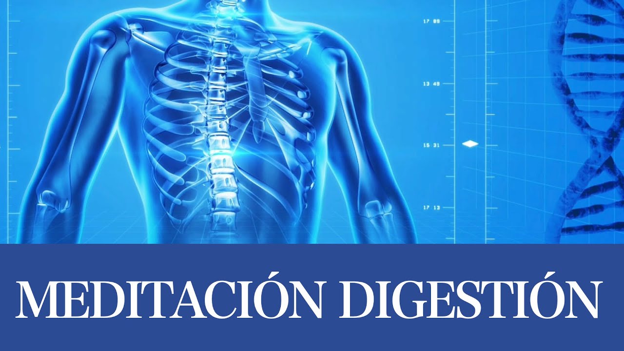 Meditación guiada para después de comer: Óptima Digestión, Sistema Digestivo