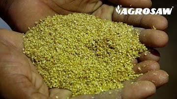 MILLET PROCESSING PLANT 1TPH - RAICHUR