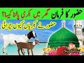 Nabi pak ka farman Ghar me Bakri Palna kaisa hai | Goat In Islam || Dolat | Faide | Prophet Muhammad