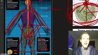 YOUR SPINE IS A MAGIC WAND - Esoteric Anatomy of Activation
