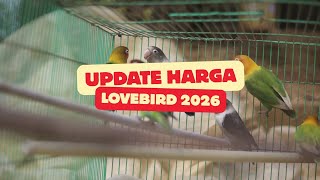 LATEST LOVEBIRD PRICE LIST UPDATE FOR 2026