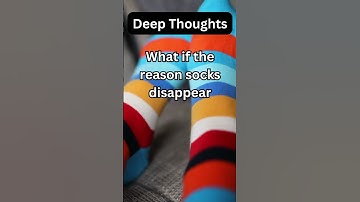 What if Socks Disappear to Do What? Deep Thoughts for Your Curiosity #imagination #humor #funny