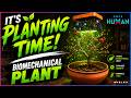 Planting Time! Created a Biomechanical Plant