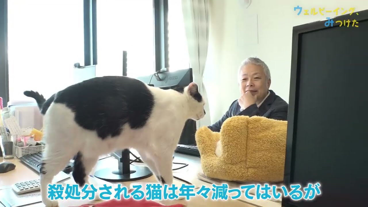 ファーレイ株式会社 前篇【ウェルビーイング、みつけた】#145