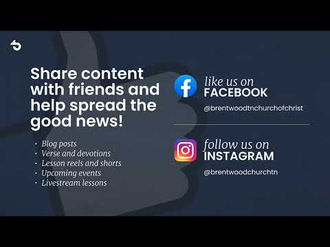 Video preview