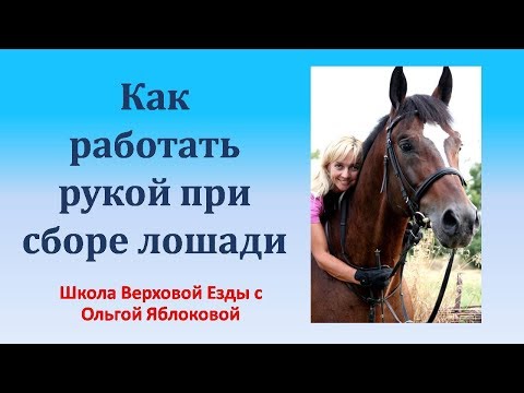 КАК РАБОТАТЬ РУКОЙ ПРИ СБОРЕ ЛОШАДИ