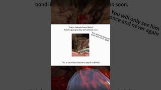 This is jimbob’s friend bohdi