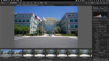 Correcting Lens Distortion with RAW Power