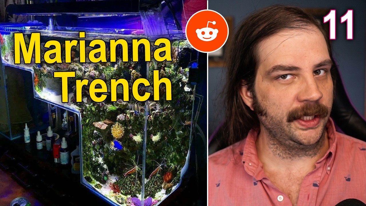 Fishkeeper Reacts to the Worst Internet Aquariums Pt 11