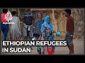 Sudan struggles to shelter influx of Ethiopian refugees