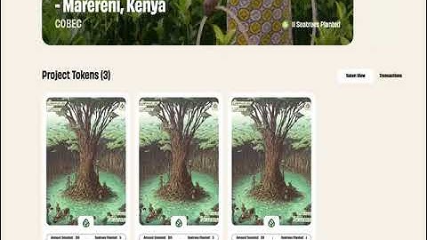 SeaTrees x Builderz - Case Study Demo Video