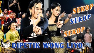 AYU WARDINA - DIPETIK WONG LIYO - JARANAN AGUNG LESTARI ( SEKOP SEKOP SEKOP )