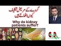Why do kidney patients suffer  by dr shoaib mithani