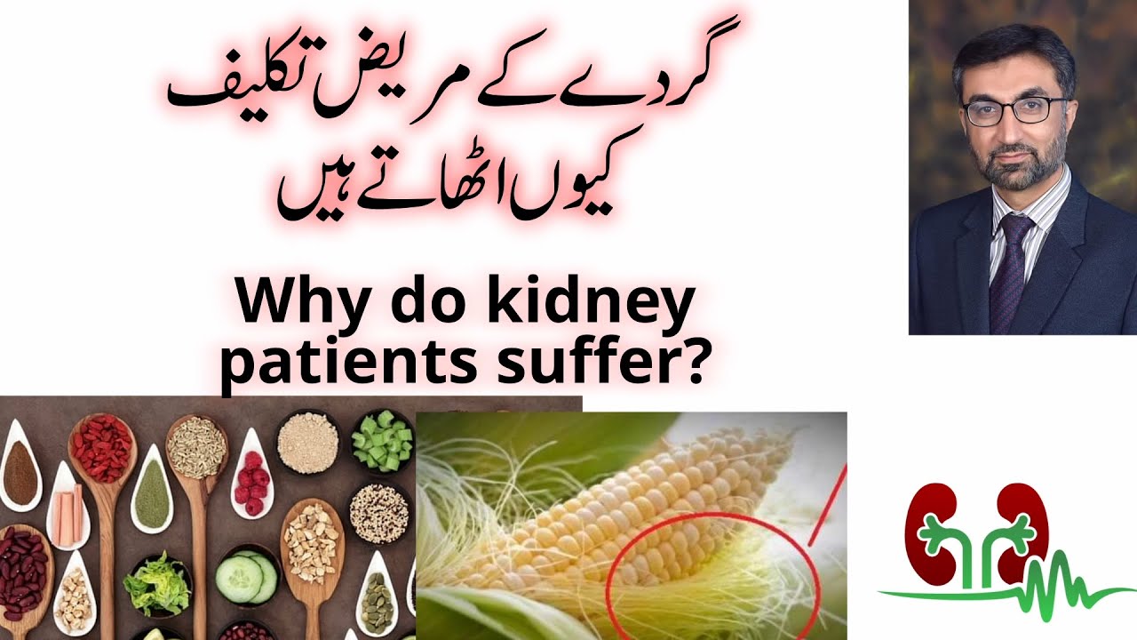 Why Do Kidney Patients Suffer By Dr Shoaib Mithani YouTube